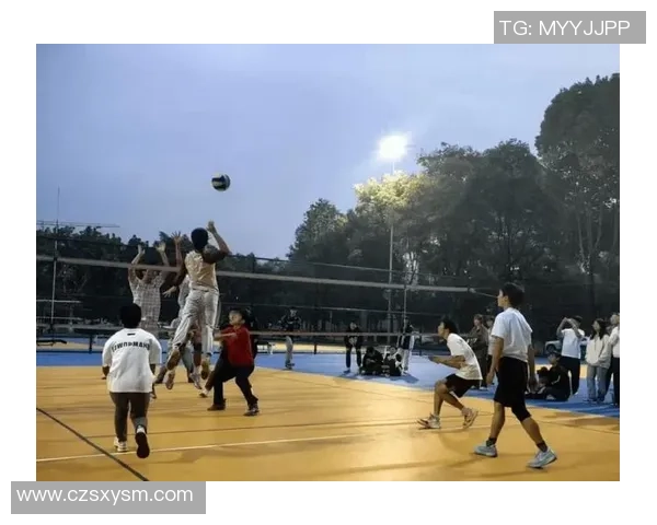 西排球队实力变革引发热议新格局下的排球未来展望